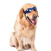Inception Pro Infinite (Blue) Sunglasses For Dogs With Adjustable Elastic