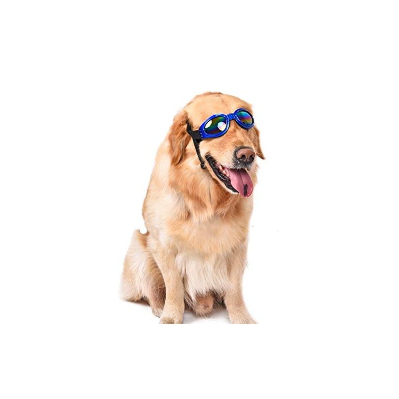 Inception Pro Infinite (Blue) Sunglasses For Dogs With Adjustable Elastic