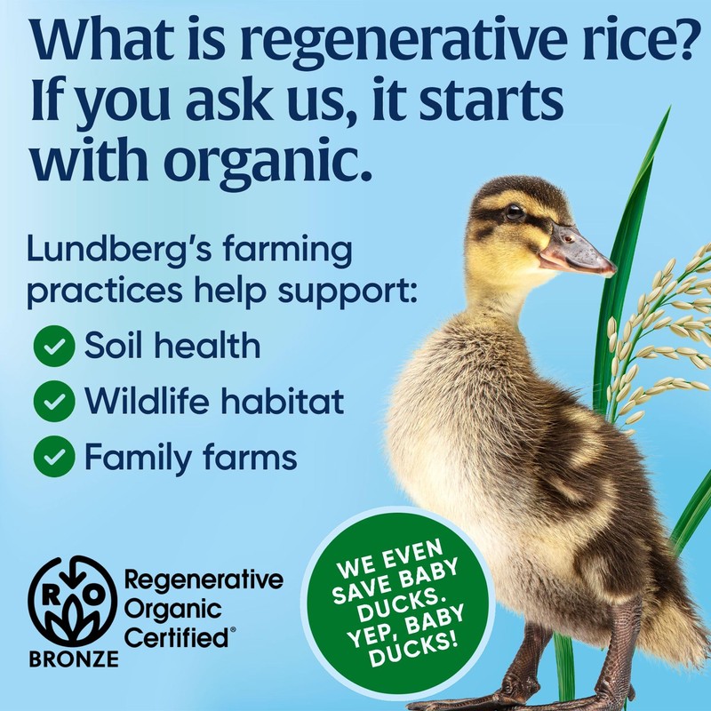 Lundberg Organic Brown Rice Cakes, Salt-Free, Gluten-Free, Vegan, Healthy Snacks,