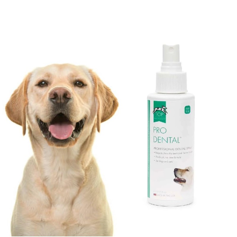Dog and Cat Pro Dental Spray Easy Use for Fresh