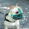 Muzzle with Short Snout, Dog Muzzle Mesh Adjustable French Bulldog