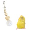 Parakeet Biting Toy, Plastic Bell, Made in Japan, Safe and