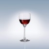 Villeroy & Boch Octavie Claret, 9.5 oz, Crystal Glass, Transparent
