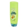 Garnier Fructis Hydra Recharge Conditioner for Normal to Dry Hair,