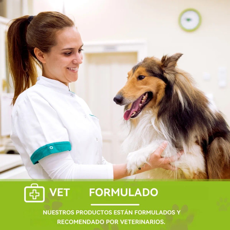 Tabletas De Cardo Mariano Para Perros Protección Hepática180