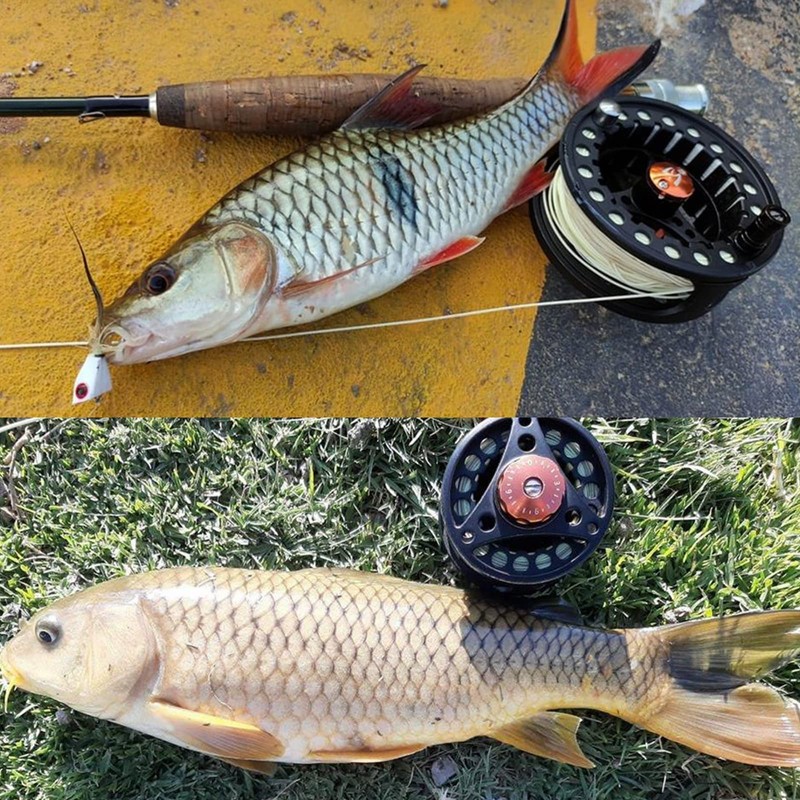 M MaximumCatch Maxcatch Eco Trout Fly Reel, Large Arbor, 3/4