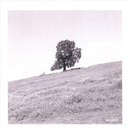 BLANK GLOSS - CORNERED