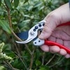 Darlac Expert Bypass Small Pruner – Razor Sharp Blades -