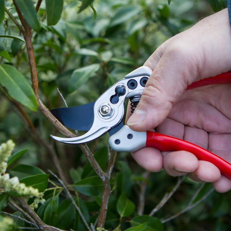 Darlac Expert Bypass Small Pruner – Razor Sharp Blades -