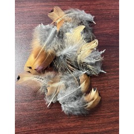 Unbranded 50pcs Natural Ring-neck Pheasant Plumage/Back Feathers Assortment DIY Art Craft