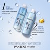 Pantene Micellar Detox & Moisturize Shampoo 530ML