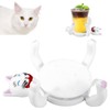 Cute Cat Coasters That Hold the Cup, Cat Coasters for