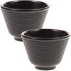 Luxshiny 2pcs Cast Iron Tea Cups Japanese Tea Cups Black