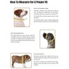 Hamilton Double Thick Nylon Deluxe Dog Collar