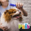 Fancy Pets Peine Rompenudos Curvo para Perro con 6 Navajas