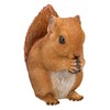 Figuren Shop GmbH Garden Squirrel Figurine - Weatherproof & Hand-Painted
