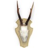 Oak Hearing Board with Pine Inlay, Roe Roe Gamswild Light