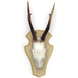 Oak Hearing Board with Pine Inlay, Roe Roe Gamswild Light Dark Set with Ear Clip, Brown (Light 9 x 12, 1)