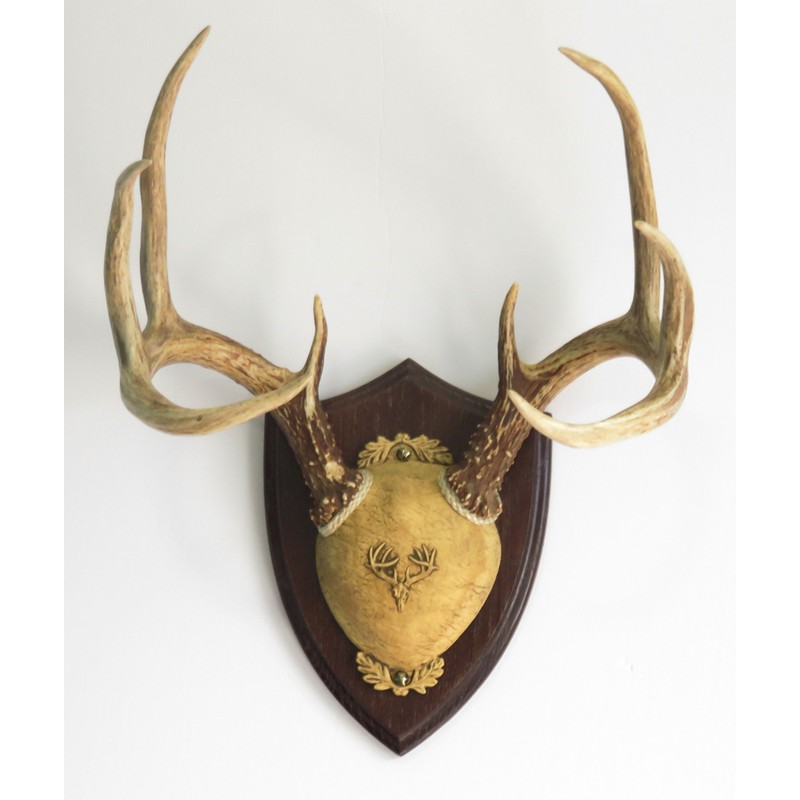 Taxidermists Woodshop TTW Ultimate Antler Mounting Kit - Dark Oak