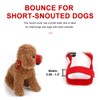 Andiker Nylon Dog Muzzle for Short Snout, Dog Mouth Cover