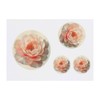 4 x 'Pink Peony in Full Bloom' Temporary Tattoos -