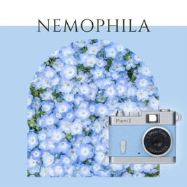 Kenko Pieni II DSC-PIENI2NP Nemofila Toy Camera