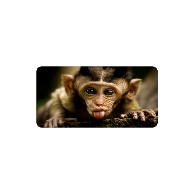 Baby Monkey Sticking Out Tongue Photo License Plate