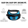 ShawnCo Essential Dog Harness, No-Pull Pet Vest with 3 Leash