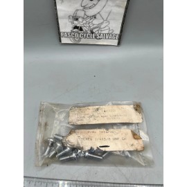 Triumph NOS-Triumph Front Fender & Exhaust Pan head Screw 1/4x5/8-28 UNC (QTY 1) 14-0201