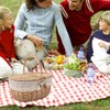 Picnic Basket, Outdoor Carrier, Removable Liner, Rustic Woven Wicker Basket