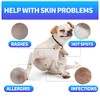 Jabn antimictico para Perros, champ para Perros contra alergias y