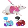 Stock Show Small Pet Outdoor Walking Harness Vest and Leash