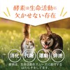 Dog Cat No Additives Enzyme Supplement (Up-And-Coming Live Enzyme G)