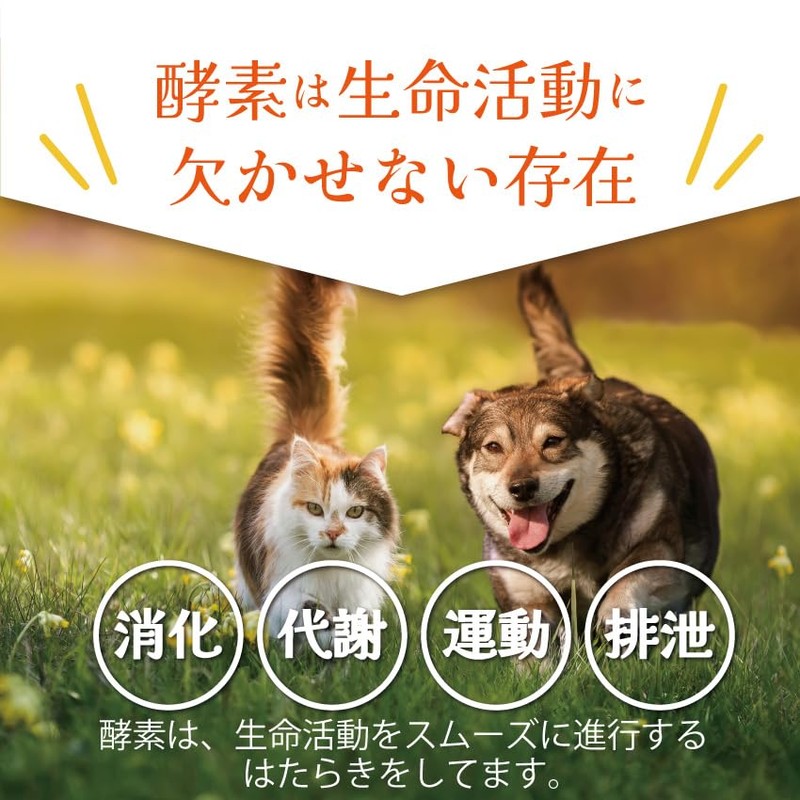Dog Cat No Additives Enzyme Supplement (Up-And-Coming Live Enzyme G)