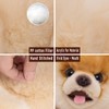 16 Inch- Pomeranian Stuffed Animals Toy Dog,Plush Puppy Realistic Cute