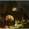75W Basking UVA+UVB Heat Bulbs for Reptiles&Amphibians Turtle Heating Lamp