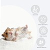 FiboPawer Hamster Sand Bath for Hamsters, Gerbils, Chinchillas, 2.2Lbs Less
