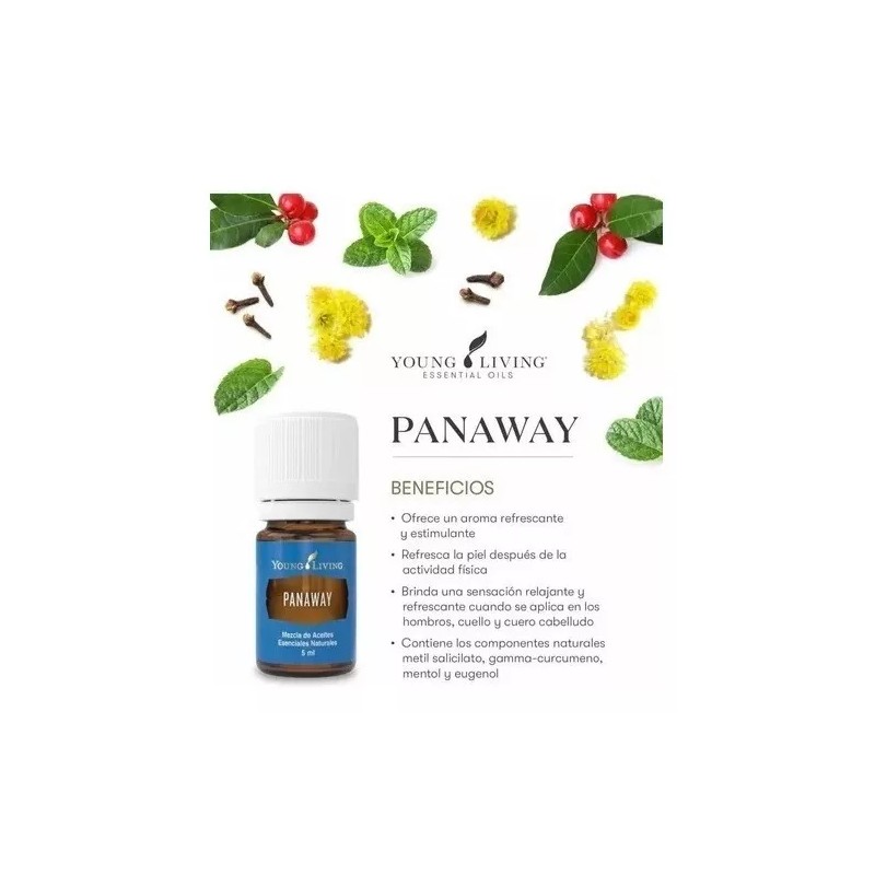 Young Living Aceite Esencial Panaway 5ml Young Living