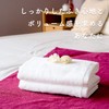 Towel Factory Lab Hotel Specification Bath Towel Set of 2