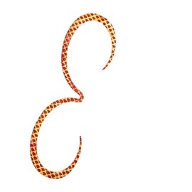 SHIMANO 003 Tai Lava Tie, Inogetsu, Strong Curly, Red Gold, 5.3 inches (135 mm), Sea Bream, Lure Parts