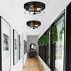 Flush Mount Ceiling Light Fixtures, 2-Light Black and Silver Ceiling