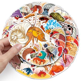 Pack of 50 Hermit Crab Stickers for Motorcycle, Fridge, Bicycle, Luggage, Bumper, Car, Laptop, Ocean Hermit Crab Vinyl Sticker, Adult Gift, Crab Cute Graffiti Stickers