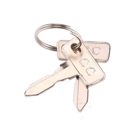 9.99WORLD MALL Replacement Golf Cart Keys,Ignition Key for Club Car DS 1982-Up，Precedent 2004-Up Gas/Electric Golf Carts (2PCS)