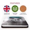 Great Single Coaster Square - Grey British Shorthair Cat Kitten