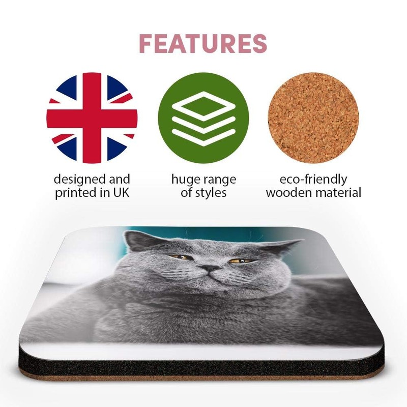 Great Single Coaster Square - Grey British Shorthair Cat Kitten