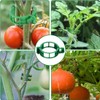 LICQIC 50 Pcs Green Plant Holder Clips, Tomato Clips are