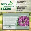Outsidepride 50 Seeds Biennial Digitalis Foxglove Purple Flower Seeds for