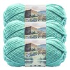 Lion Brand Hometown Yarn-Miami Seafoam