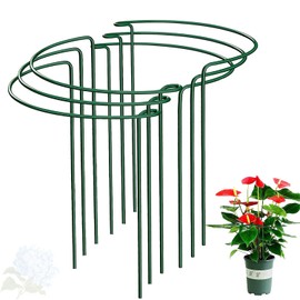 WooWellGoGoGo Half Round Snake Plant Support Stakes, Plant Ring for Peonies, Hydrangeas, ZZ, and More - Sturdy, Rust-Proof Plant Support Cages for Indoor and Outdoor Potted Plants (6 Pack, 14x8Inch)