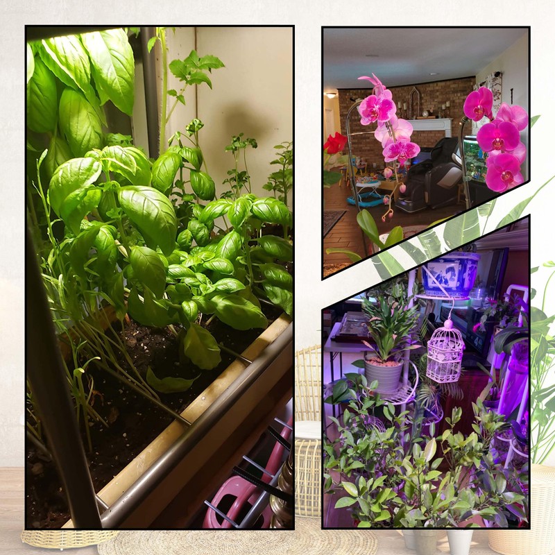 Grow Light Bulbs Full Spectrum with Red Blue 5000K E12